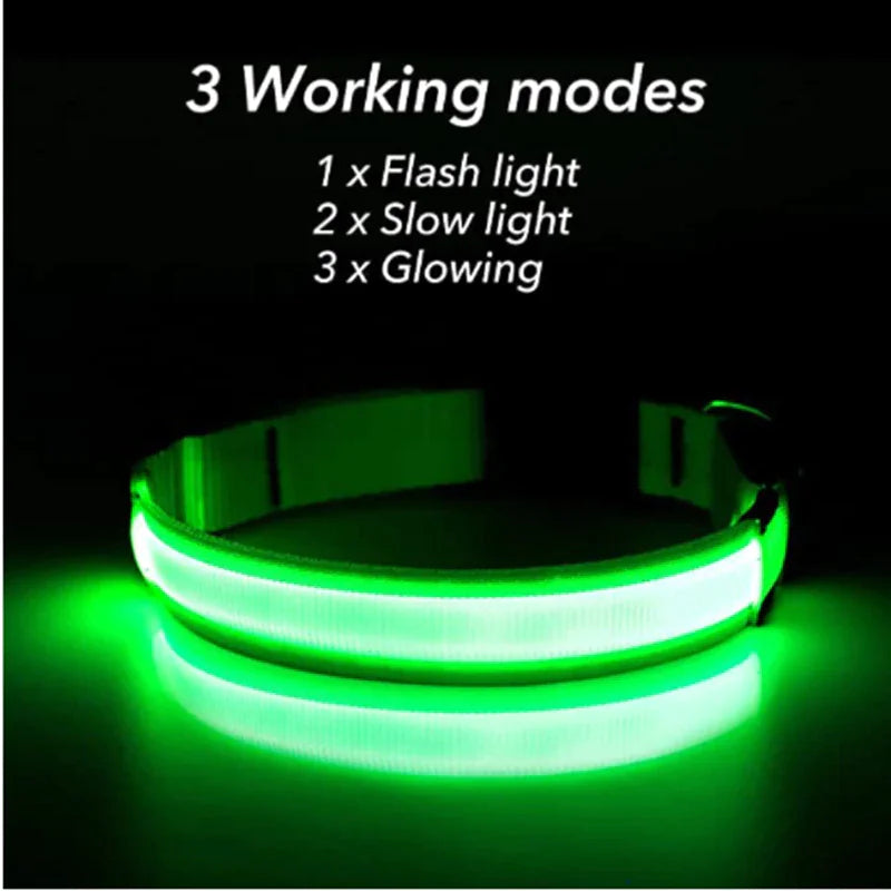 Blinking light for dog collar best sale